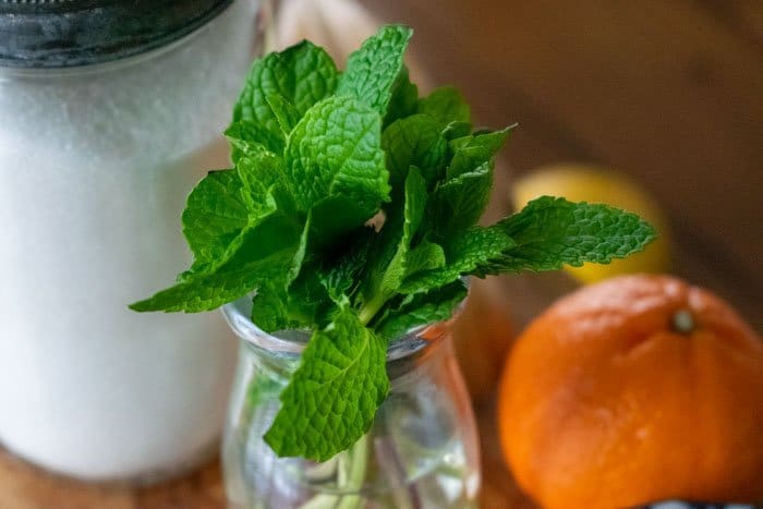 fresh mint leaves in a glass for sunshine tea