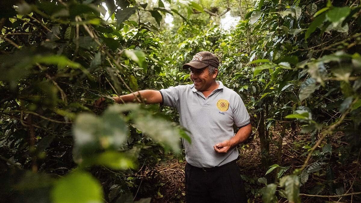 Coffee farmer