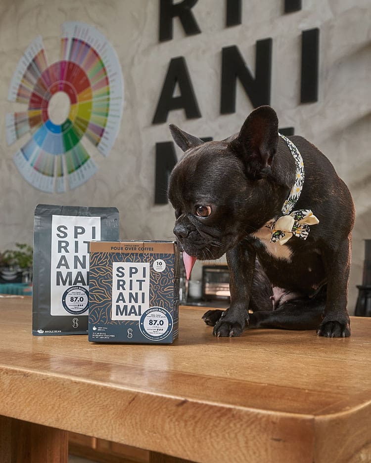 The Wait is Over: Spirit Animal Coffee Espresso Blend is Now Available