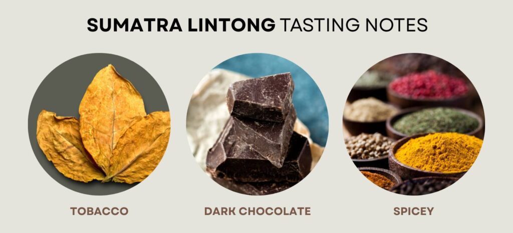 Sumatra Lintong Tasting Notes