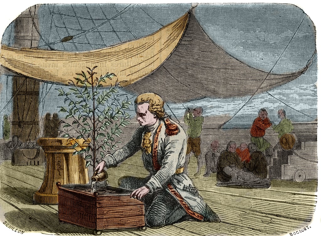 Beyond The Cup - Part 1: The History Of Coffee