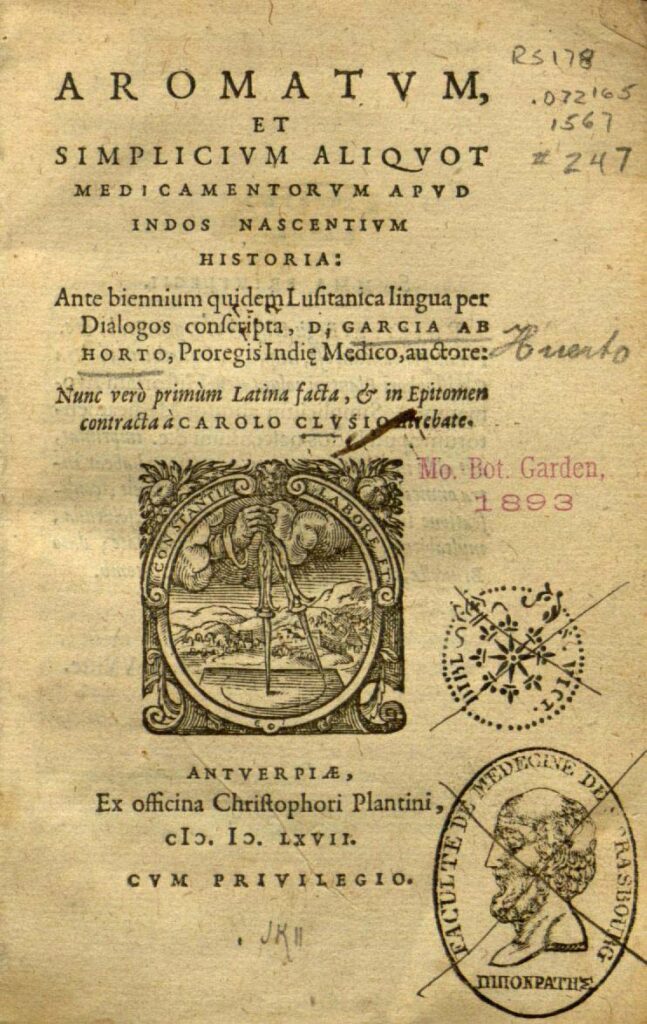 Beyond The Cup - Part 1: The History Of Coffee