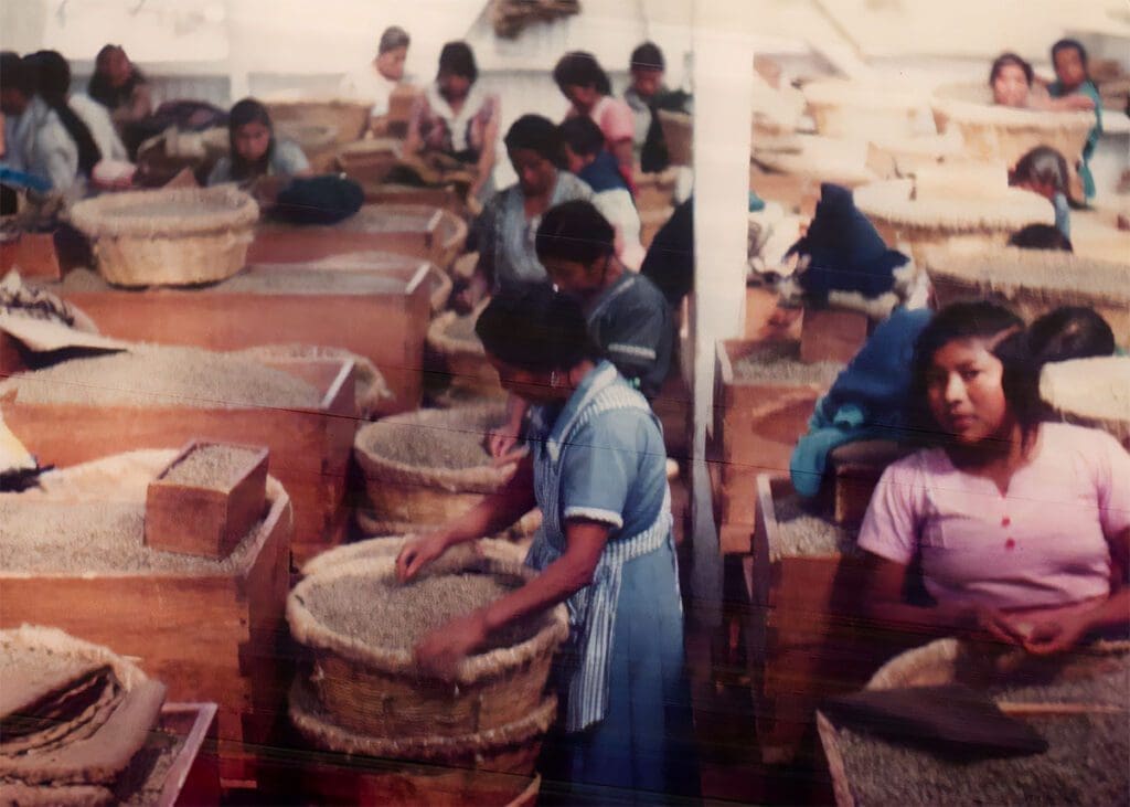 Celebrating the Rich Legacy of Diedrich Coffee: A Journey from 1916 to Today