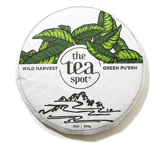 Pu-erh Tea vs Coffee: Which Has More Caffeine? Ancient Single-Tree Sheng Pu-erh Cake