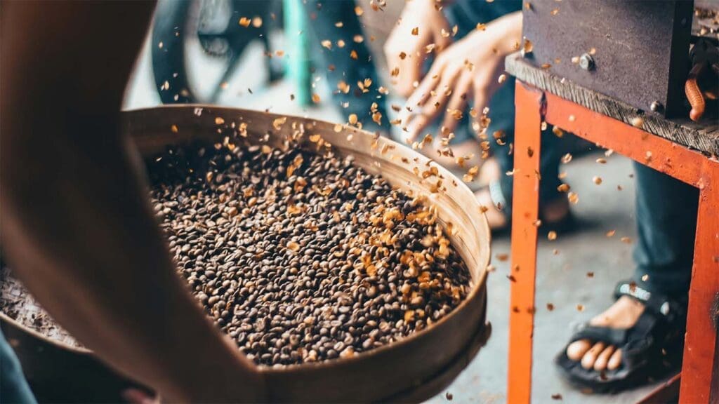Decaffeinating Coffee Beans: An Inside Look at the Process