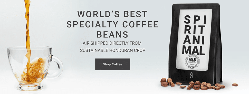 spirit animal coffee