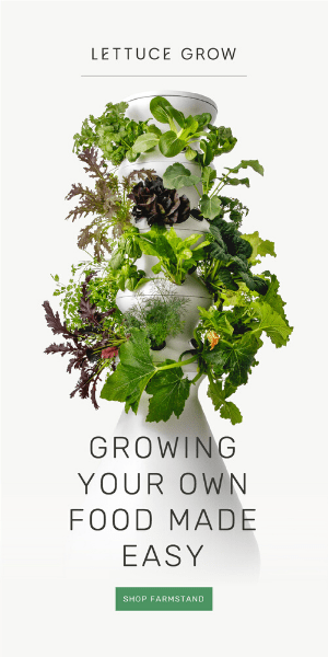 Lettuce Grow Ad