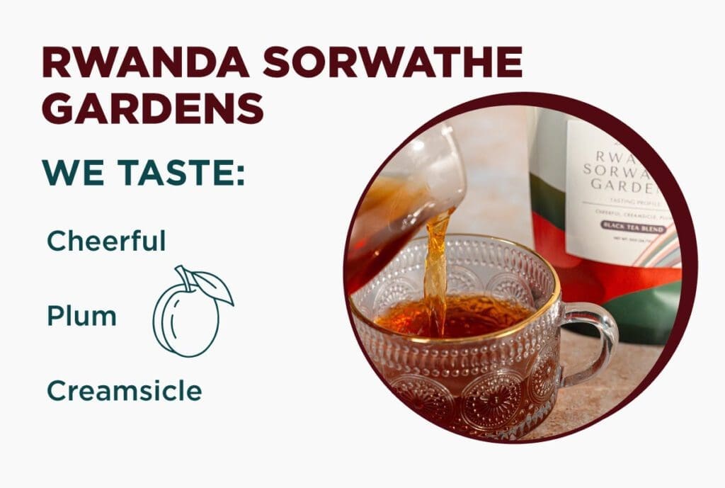 Kaldi Coffee Expands into Tea with Rwanda Sorwathe Gardens Blend Kaldi Coffee Rwanda Sorwathe Gardens Blend tea