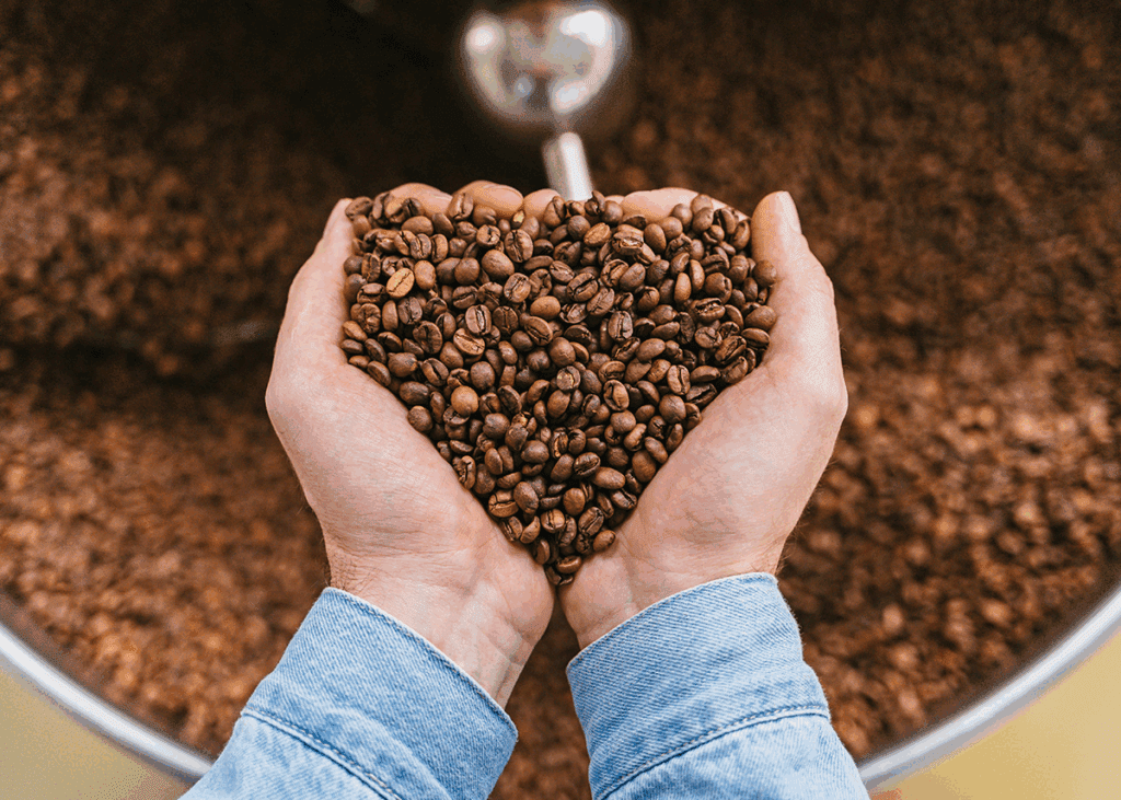 Two hands in a denim shirt cradle a heart-shaped handful of roasted coffee beans above a roasting drum filled with beans.