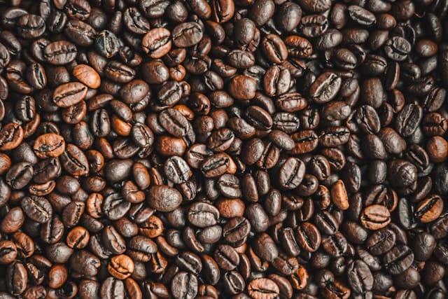 Fresh espresso versus drip coffee — Starbucks taste comparison